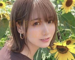 探秘けん研的奇妙世界：2024年免费作品大放送！