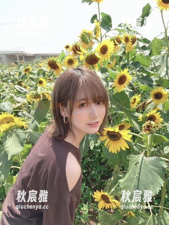 けん研 探秘けん研的奇妙世界:2024年免费作品大放送!