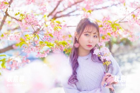 月城委员会的圣诞：把无圣光进行到底的套图