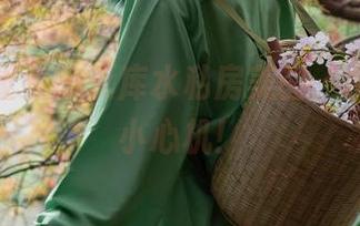 探秘矢量鱼的死库水私房美图，水里也有小心机！