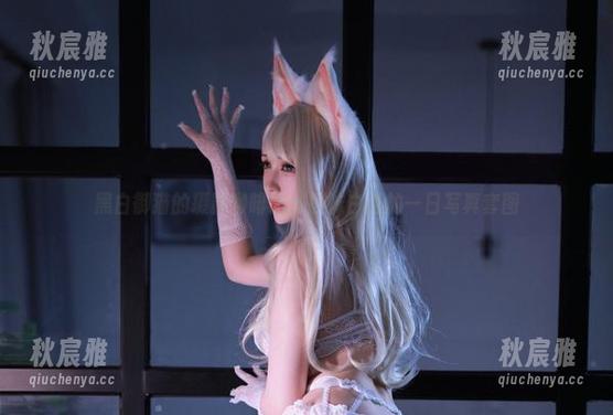 黑白御猫的摄影咖啡馆：品味白猫的一日写真套图